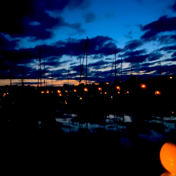 Meet your Posher, Alannah - Picture 1 of 1